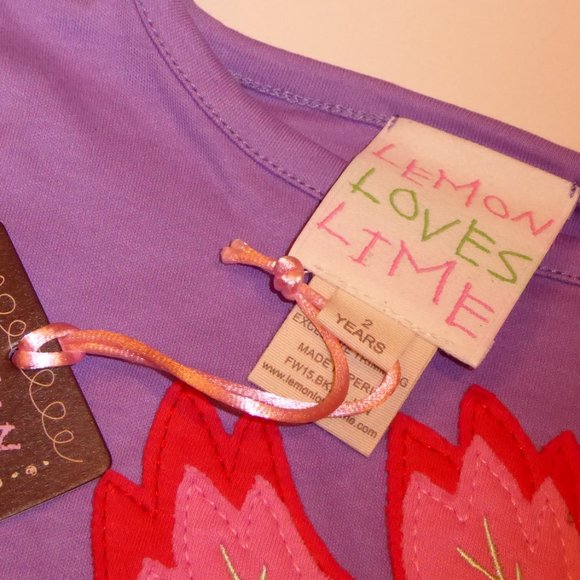Lemon Loves Lime Purple Girl Toddler Size 2 Years Fairy Applique Embroidery Top - Picture 4 of 6